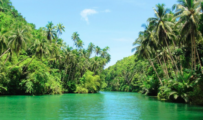 Bohol Loboc River