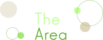 The Area